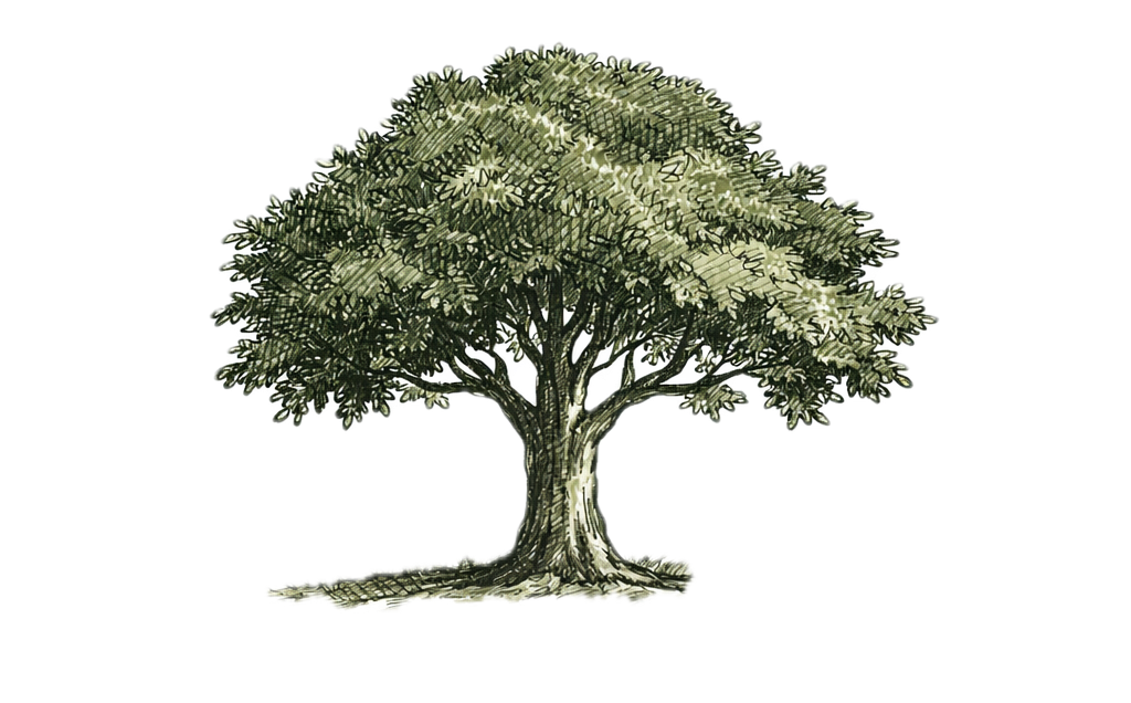 Comunità in adorazione